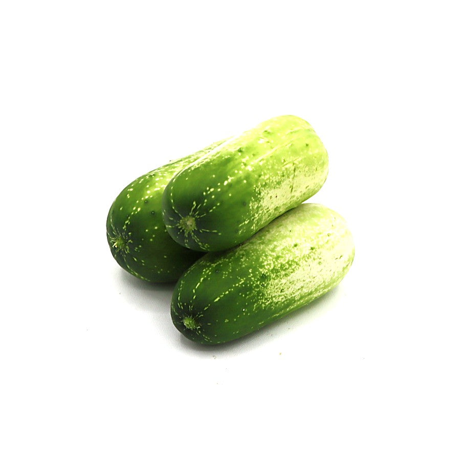 Cucumber - Quirk - Fresh Harvest Fruiting Crop