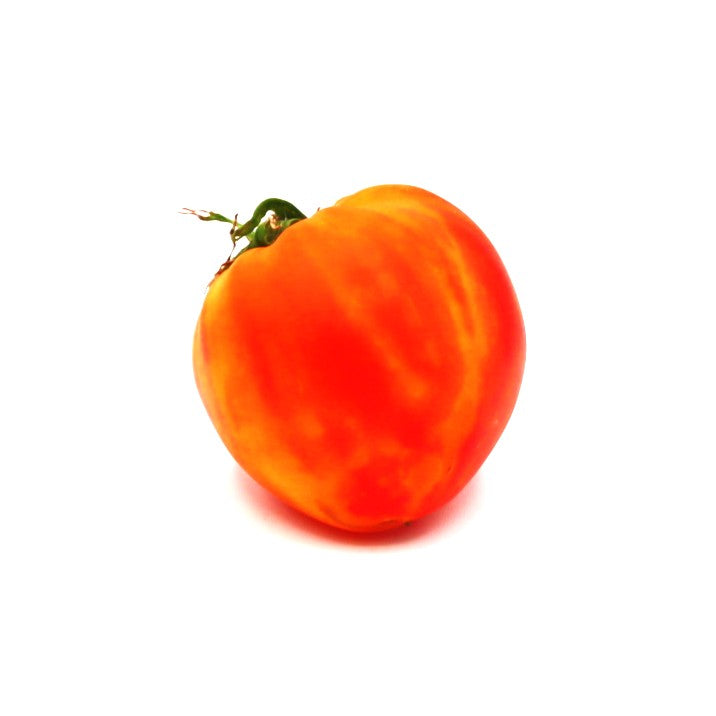 Tomatoes - Oxheart - Fresh Harvest Fruiting Crop