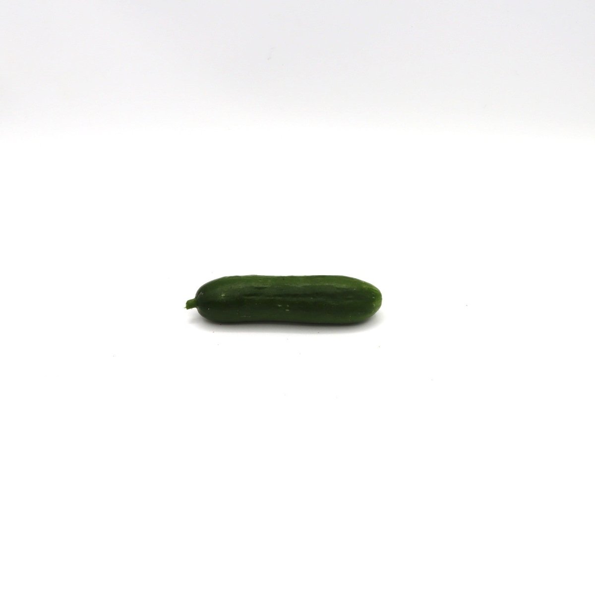Cucumber - Party Time Hybrid - AgriTech North - AgriTech North