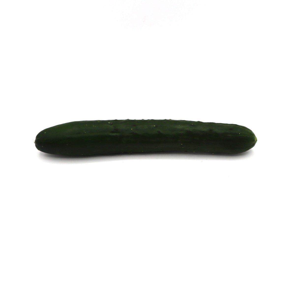 Cucumber - Sweet Success Hybrid - Fresh Harvest Fruiting Crop - AgriTech North