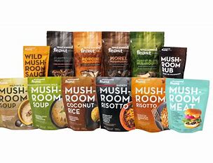 Dried Mushrooms - Untamed Feast Mushrooms - AgriTech North