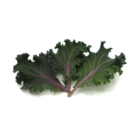 Kale - Japanese Flowering - AgriTech North - AgriTech North