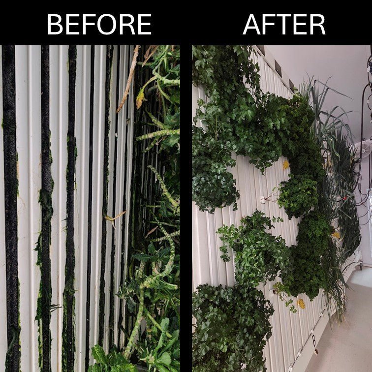 LeakStop Bundle - 15 Tower Rack Wall - 12 Plant Sites - Equally Spaced - AgriTech North - AgriTech North