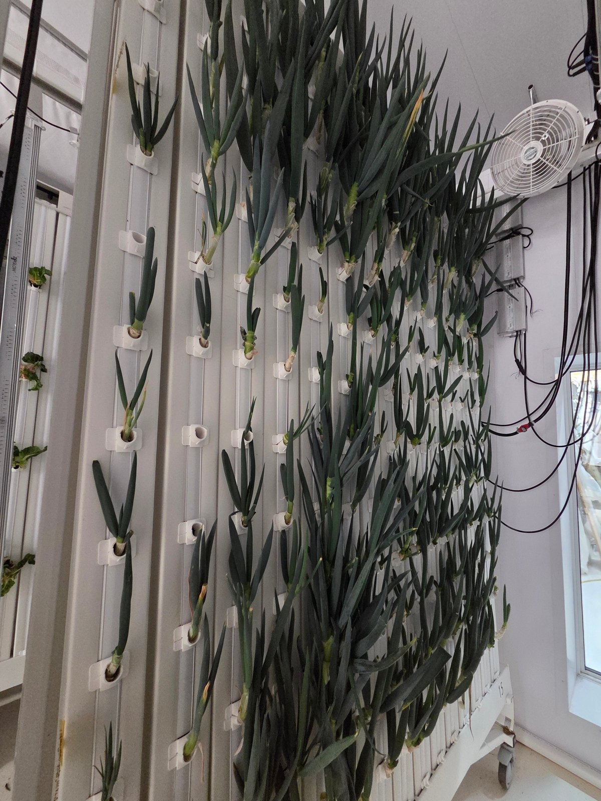 LeakStop Bundle - 15 Tower Rack Wall - 12 Plant Sites - Equally Spaced - AgriTech North - AgriTech North