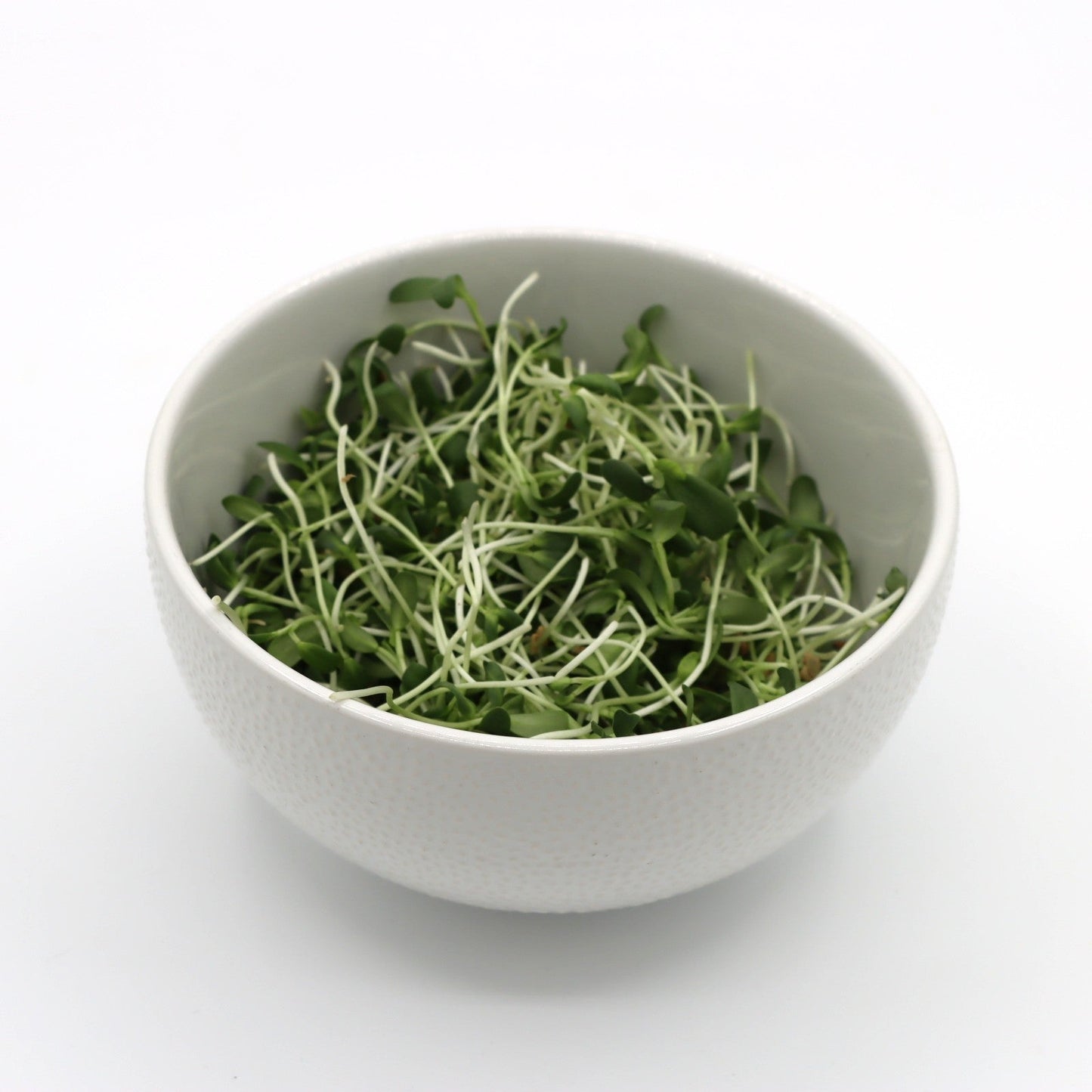 Microgreens - Fenugreek - AgriTech North - AgriTech North