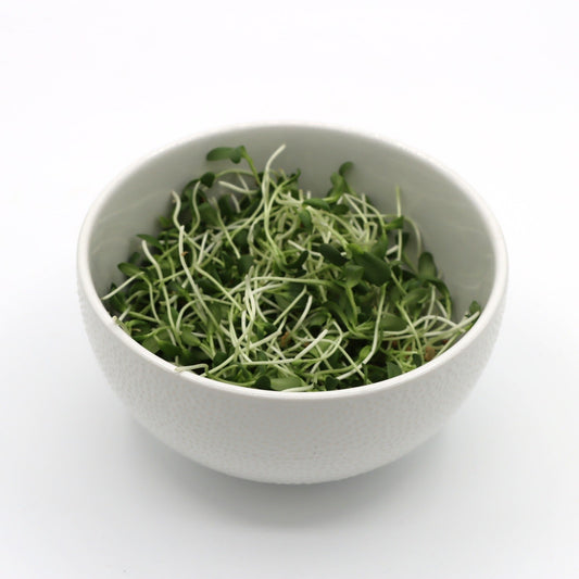 Microgreens - Fenugreek - AgriTech North - AgriTech North