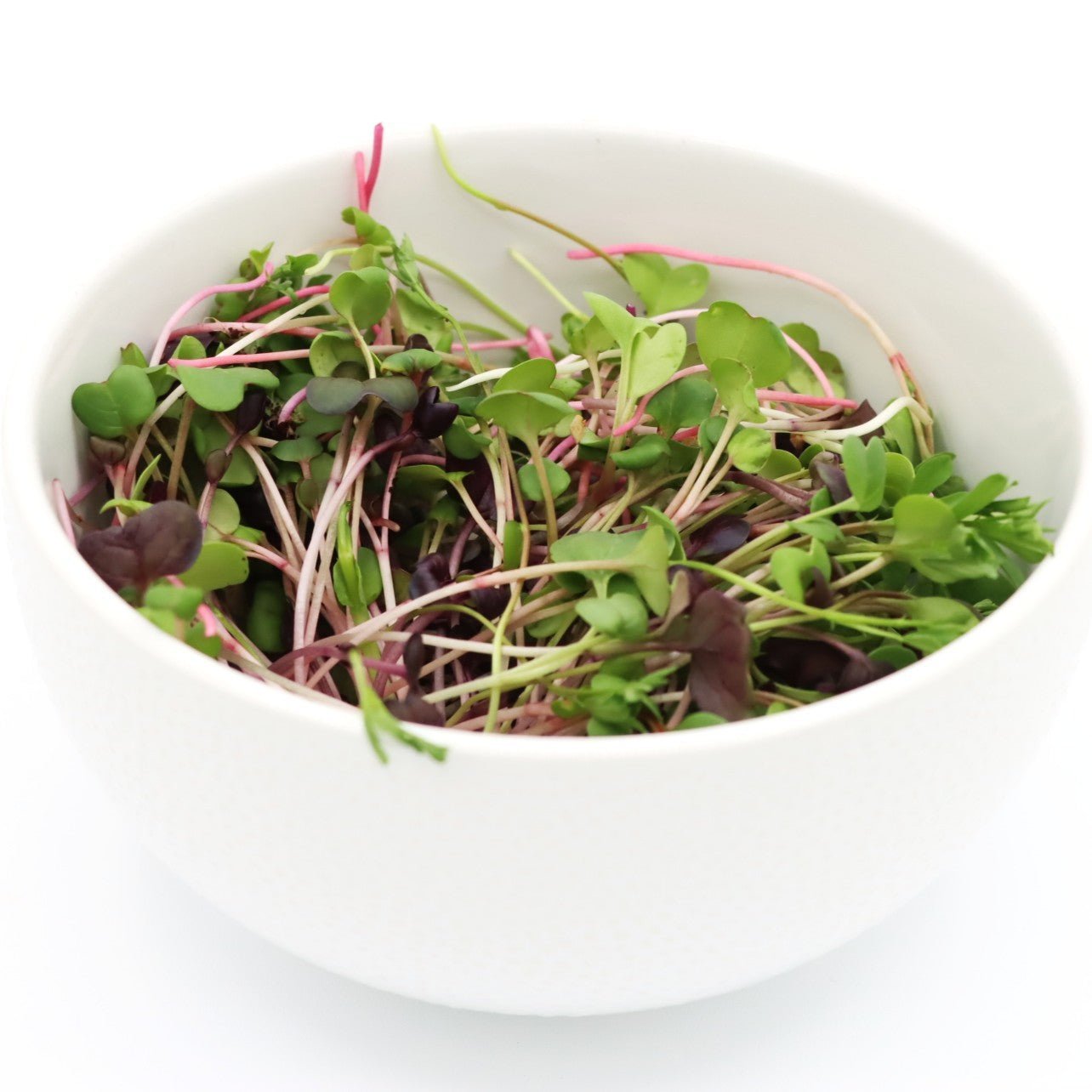 Microgreens - Protein Mix - AgriTech North - AgriTech North