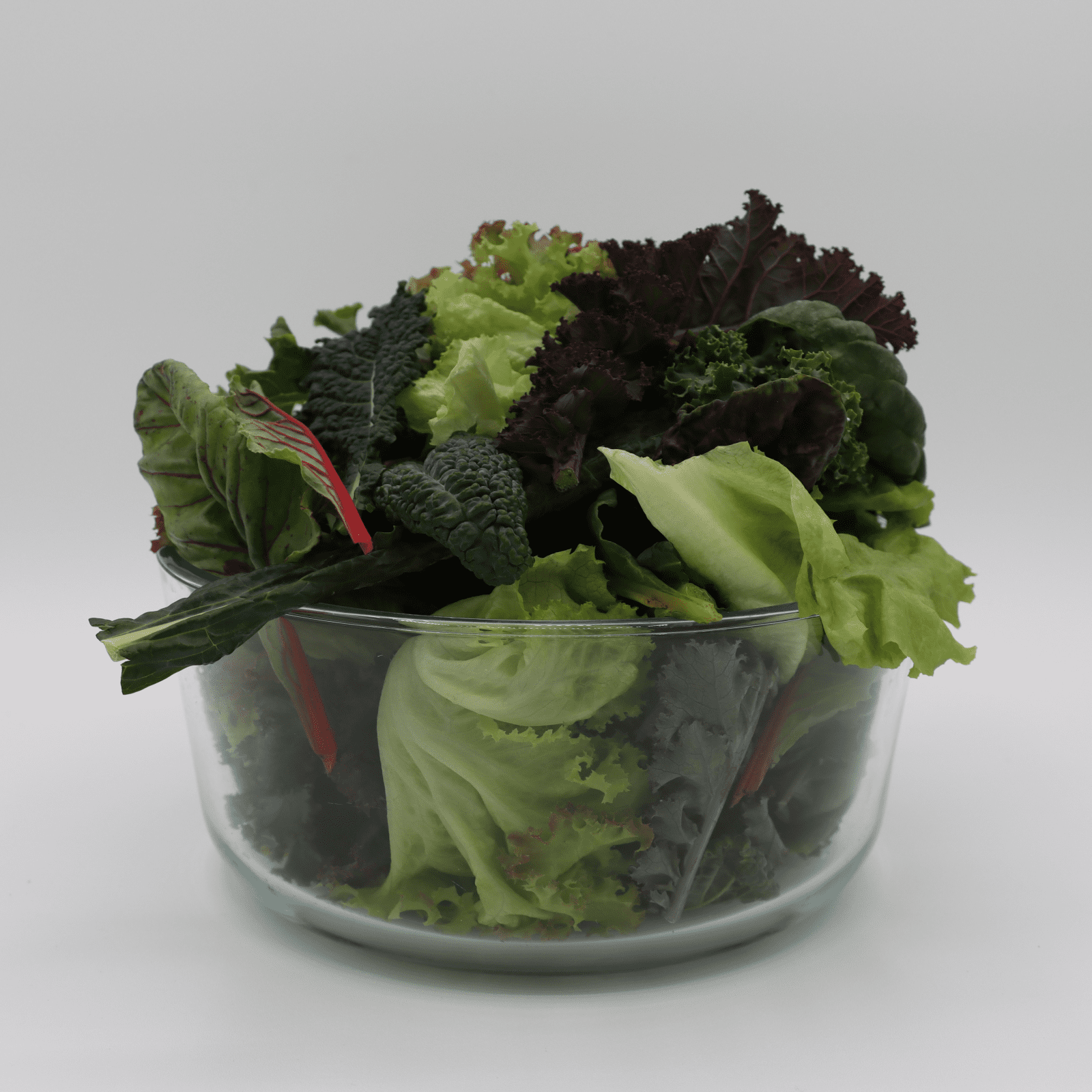 Mixed Greens - Rainbow 3x3 - AgriTech North - AgriTech North