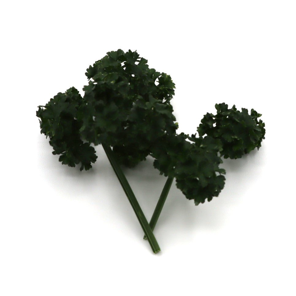 Parsley - Triple Curled - AgriTech North - AgriTech North