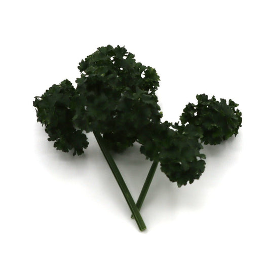 Parsley - Triple Curled - AgriTech North - AgriTech North