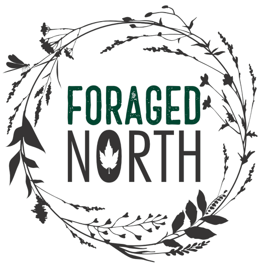 Wild Teas - Foraged North - AgriTech North