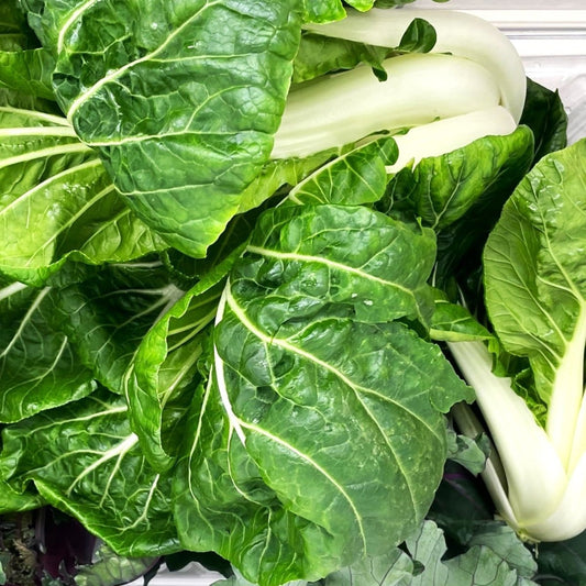 Win Win Choi - AgriTech North - AgriTech North