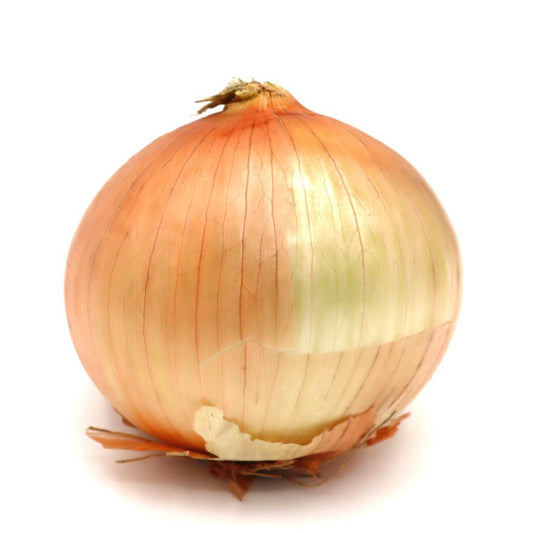 Yellow Onions - De Luca's Specialty Foods - AgriTech North