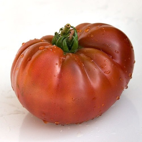 Tomatoes - Tasmanian Chocolate