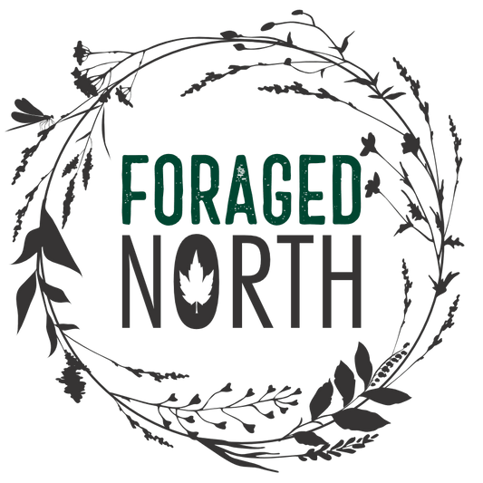 Canadian Pure Wild Rice - Foraged North - AgriTech North