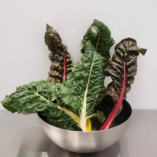 Chard - Swiss Bright Lights - AgriTech North - AgriTech North