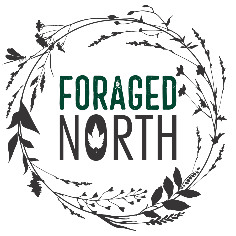 Hickory - Smoked Sea Salt (175g) - Foraged North - AgriTech North