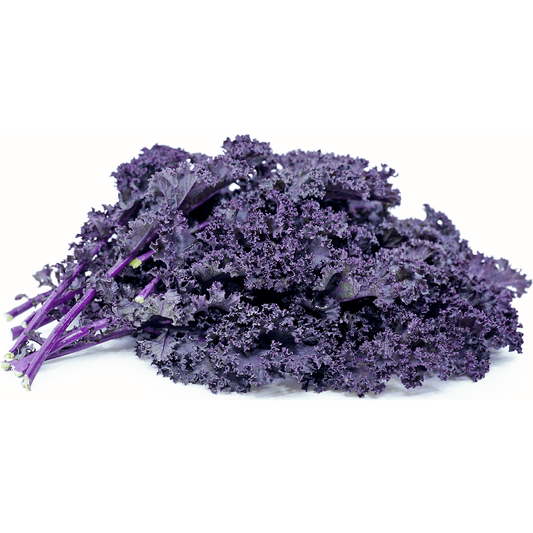 Kale - Purple Moon - AgriTech North - AgriTech North