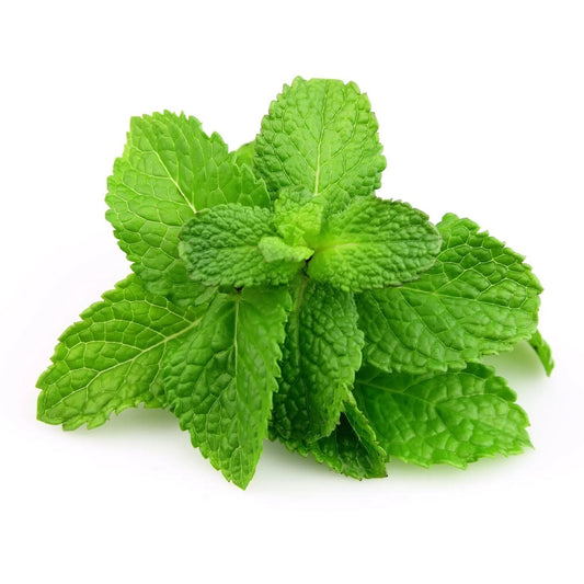 Mint - Mandarina Orange Balm - AgriTech North - AgriTech North