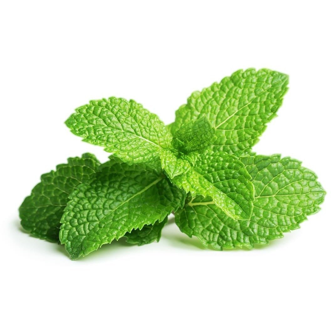Mint - Peppermint - AgriTech North - AgriTech North