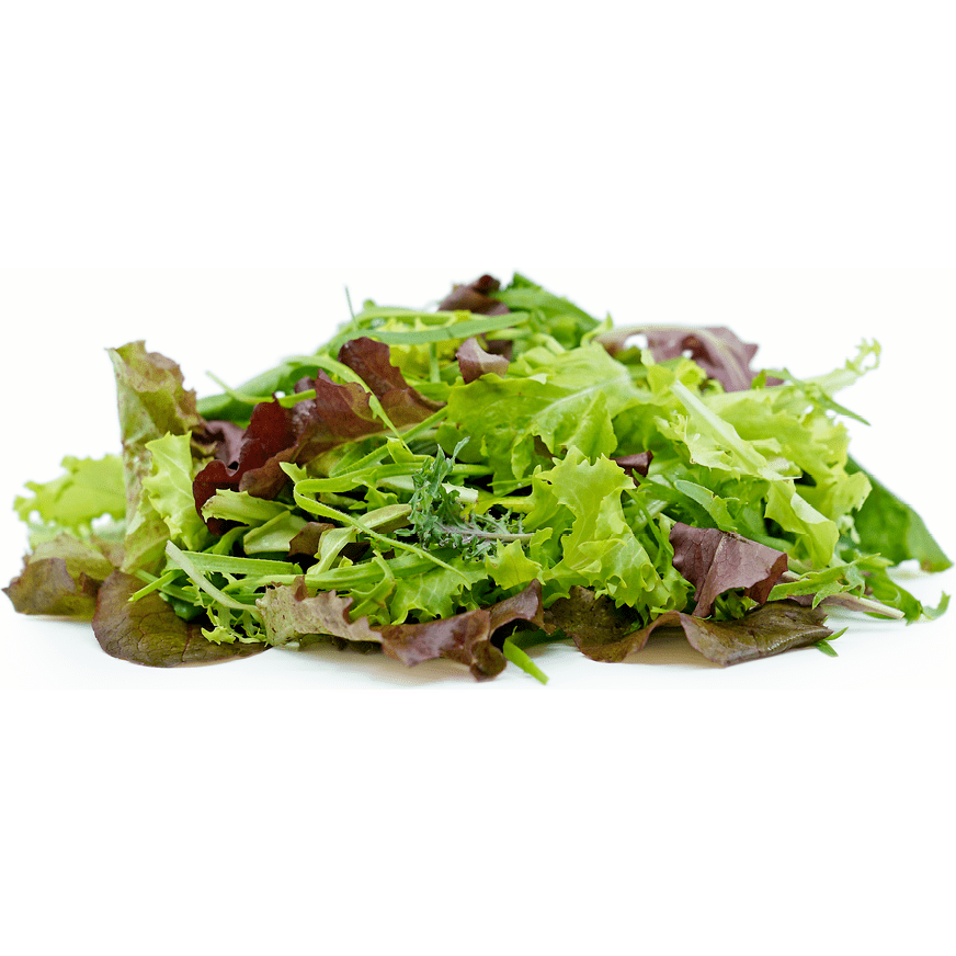 Mixed Greens - Lettuce Only - AgriTech North - AgriTech North