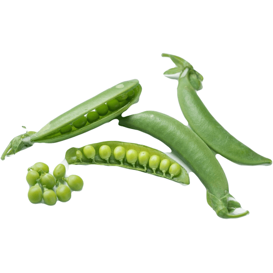 Peas - Super Sugar Snap - AgriTech North - AgriTech North