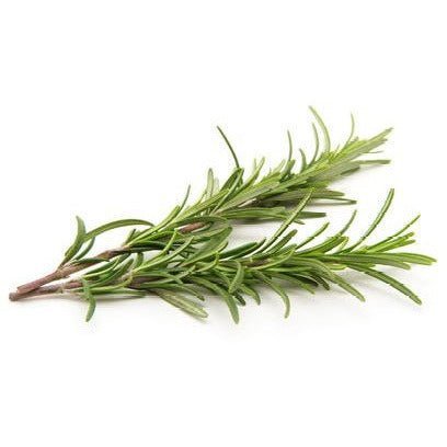 Rosemary - Garden - AgriTech North - AgriTech North