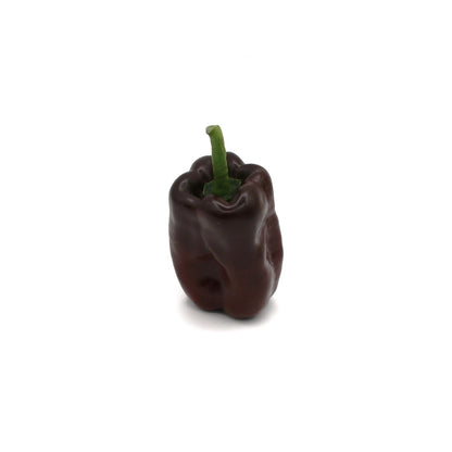 Hot Peppers - Ancho - Fresh Harvest Fruiting Crop - AgriTech North