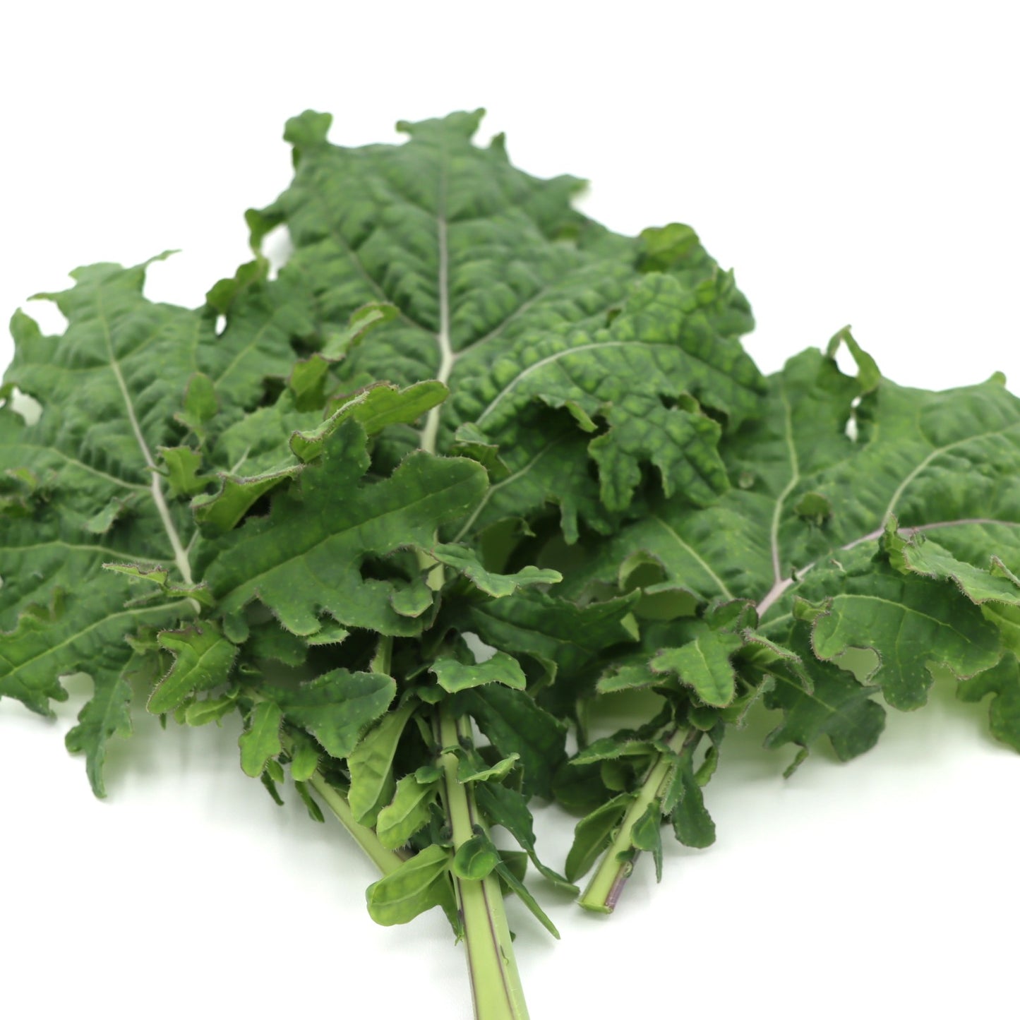 Kale - Ruthie's Ukrainian