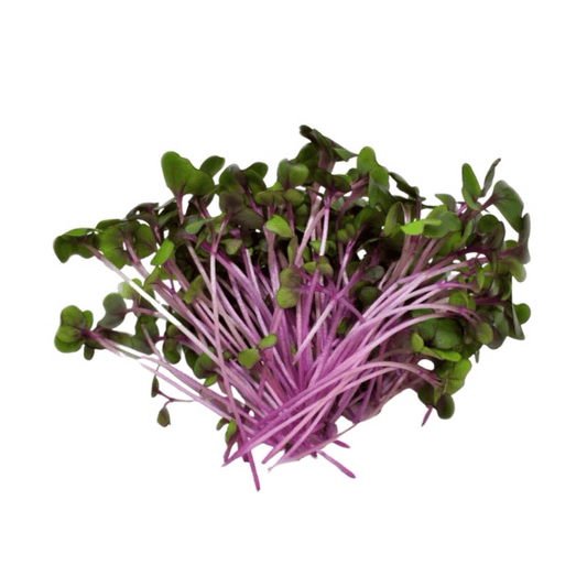 Microgreens - Red Cabbage