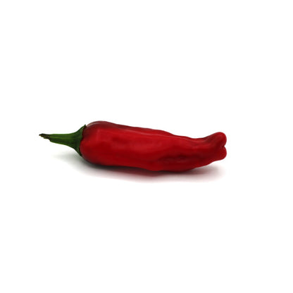 Sweet Peppers - Peperoncino - Fresh Harvest Fruiting Crop - AgriTech North