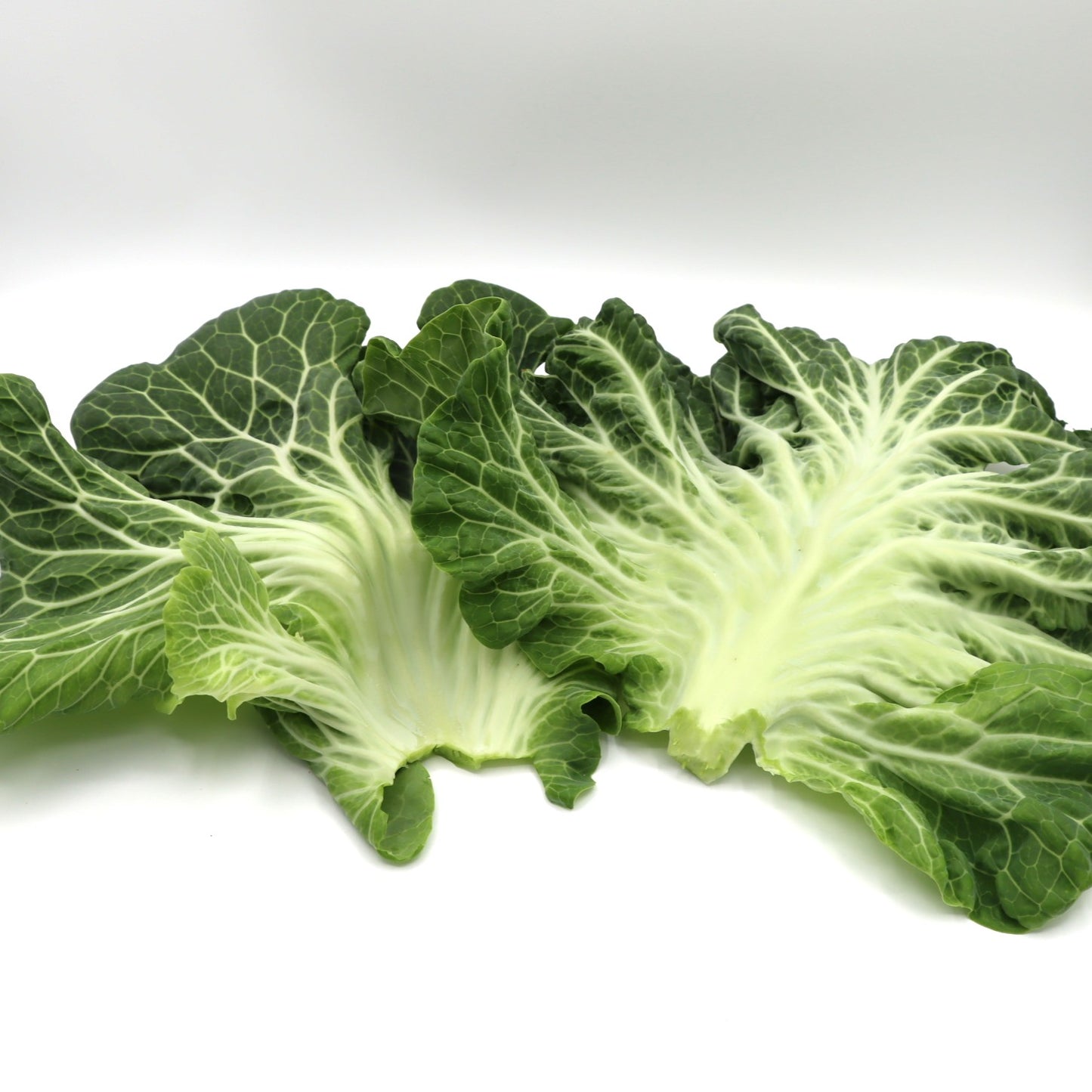 Kale - Portuguese - Fresh Harvest Green