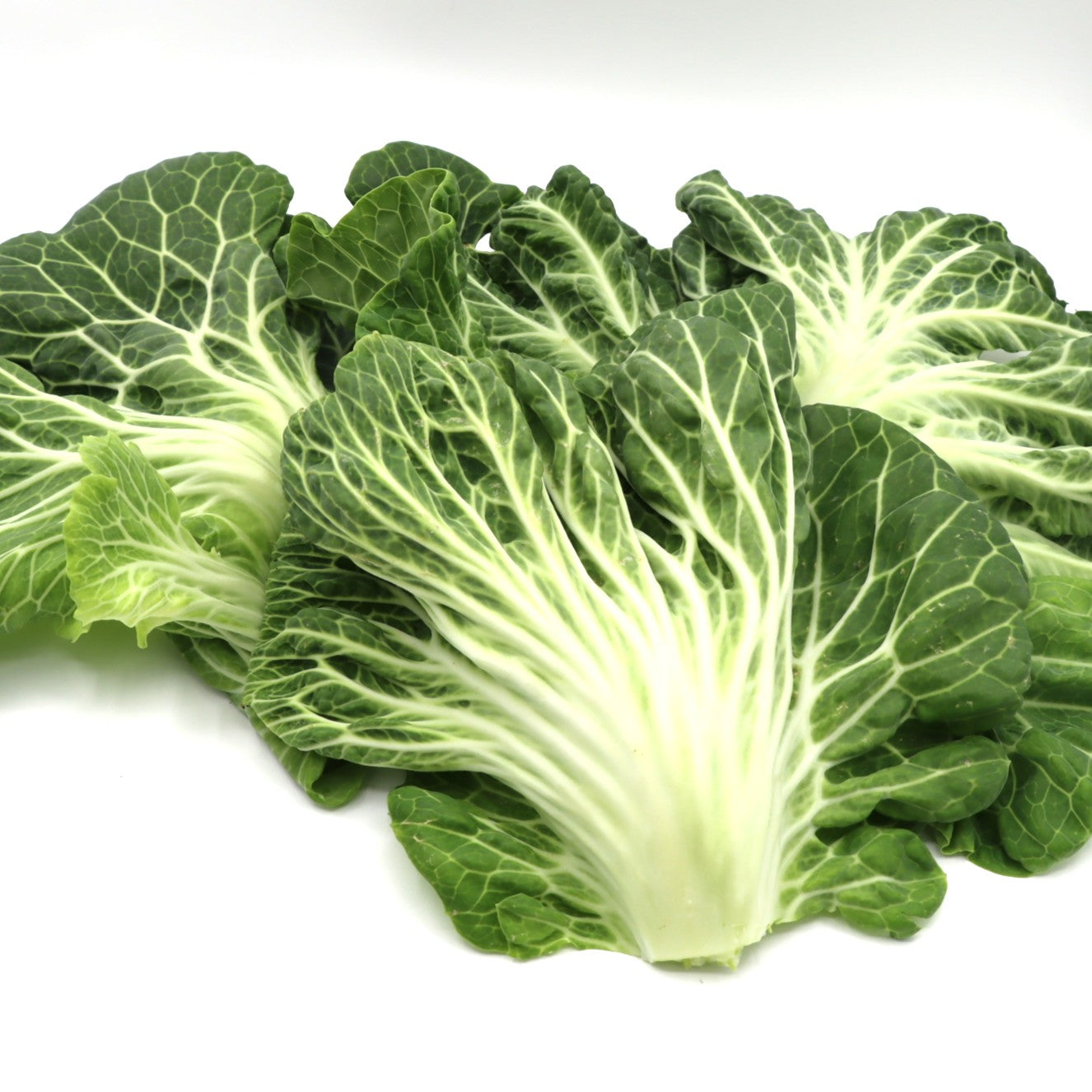 Kale - Portuguese - Fresh Harvest Green