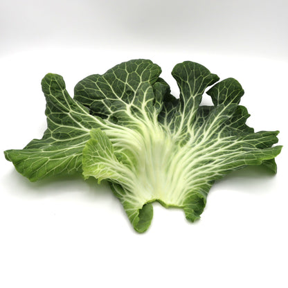 Kale - Portuguese - Fresh Harvest Green