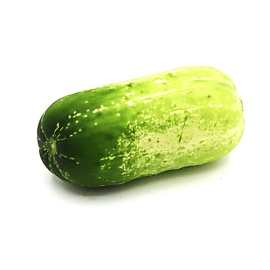 Cucumber - Quirk - Fresh Harvest Fruiting Crop