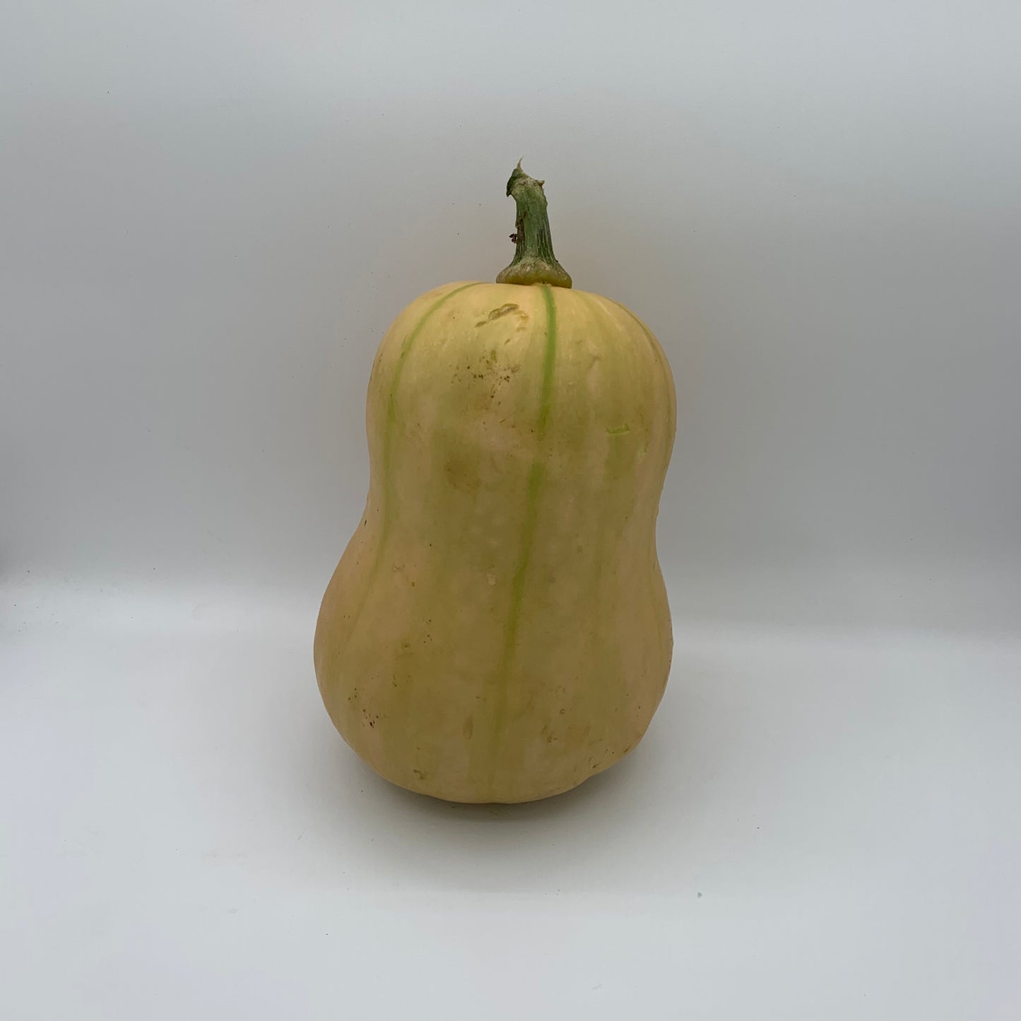 Squash