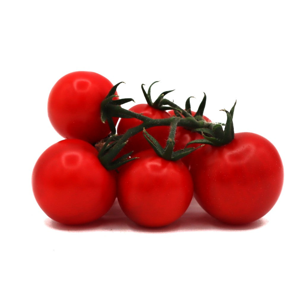 Tomaotes - Tumbler - Fresh Harvest Fruiting Crop