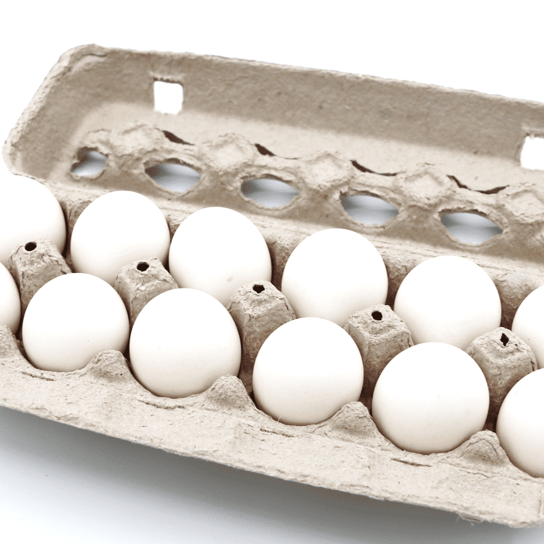 Eggs - Large - White by Gerber Farms — Gerber’s Eggs – Fort Frances Fresh from Fort Frances, Gerber’s Eggs are produced