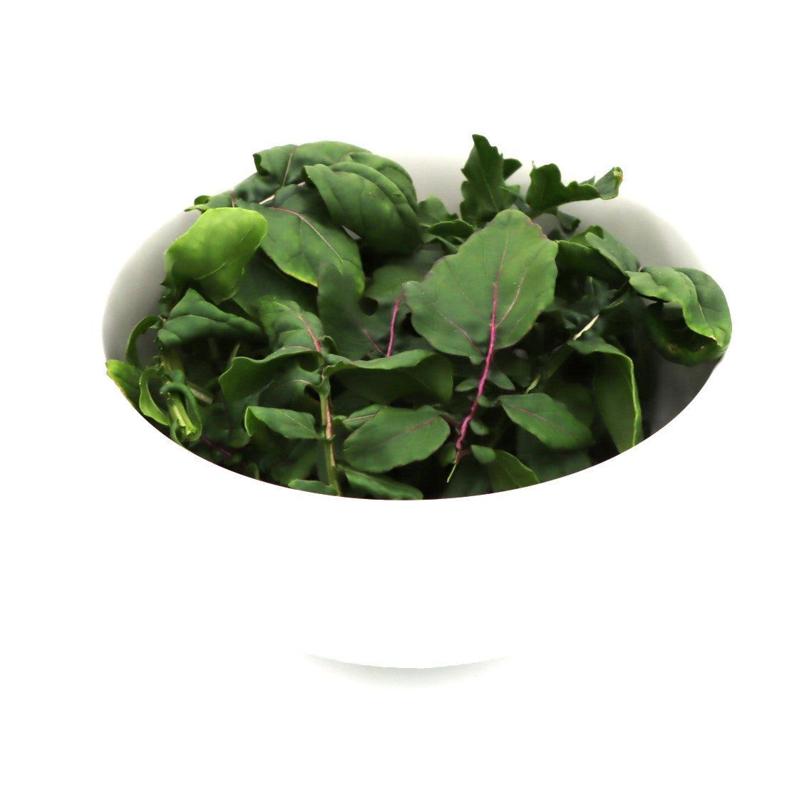 Arugula Mix - Fresh Harvest Green - AgriTech North