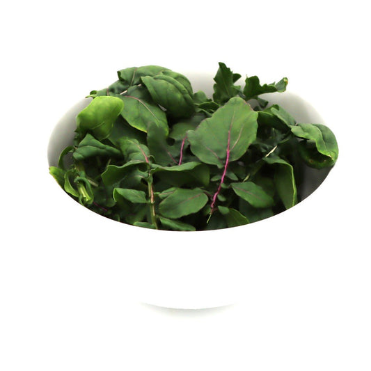 Arugula Mix - Fresh Harvest Green - AgriTech North