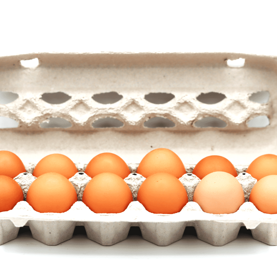 Eggs - Large - Brown by Gerber Farms — Gerber’s Free Range Eggs – Fort Frances Fresh from Fort Frances, Gerber’s Free R