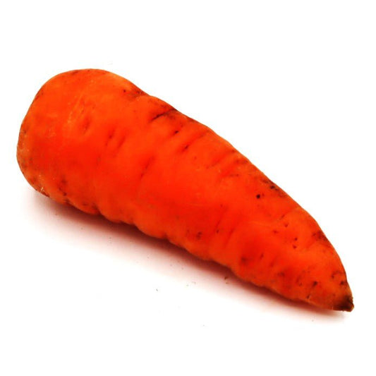 Carrots - Gerber Farms - AgriTech North