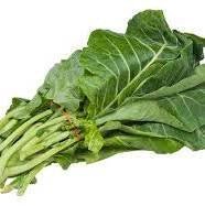Collard Greens - AgriTech North - AgriTech North