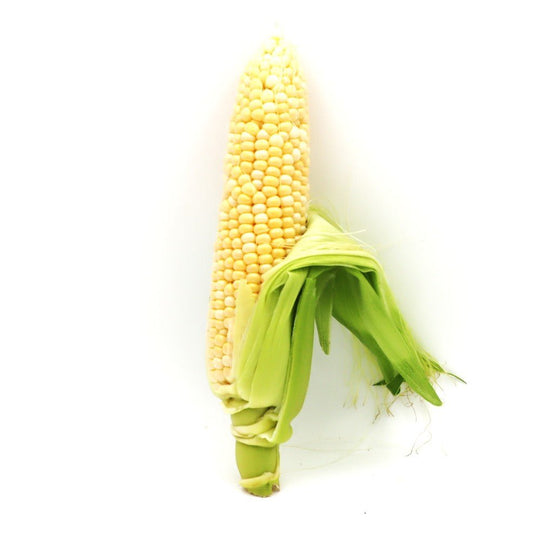 Corn - Gerber Farms - AgriTech North