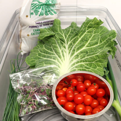 Discovery Box - Various - AgriTech North