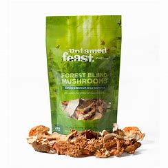 Dried Mushrooms - Untamed Feast Mushrooms - AgriTech North