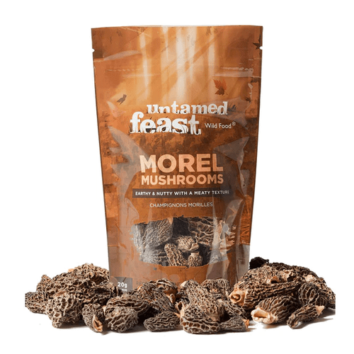 Dried Mushrooms - Untamed Feast Mushrooms - AgriTech North