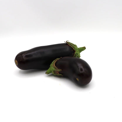 Eggplant - Diamond - Fresh Harvest Fruiting Crop - AgriTech North