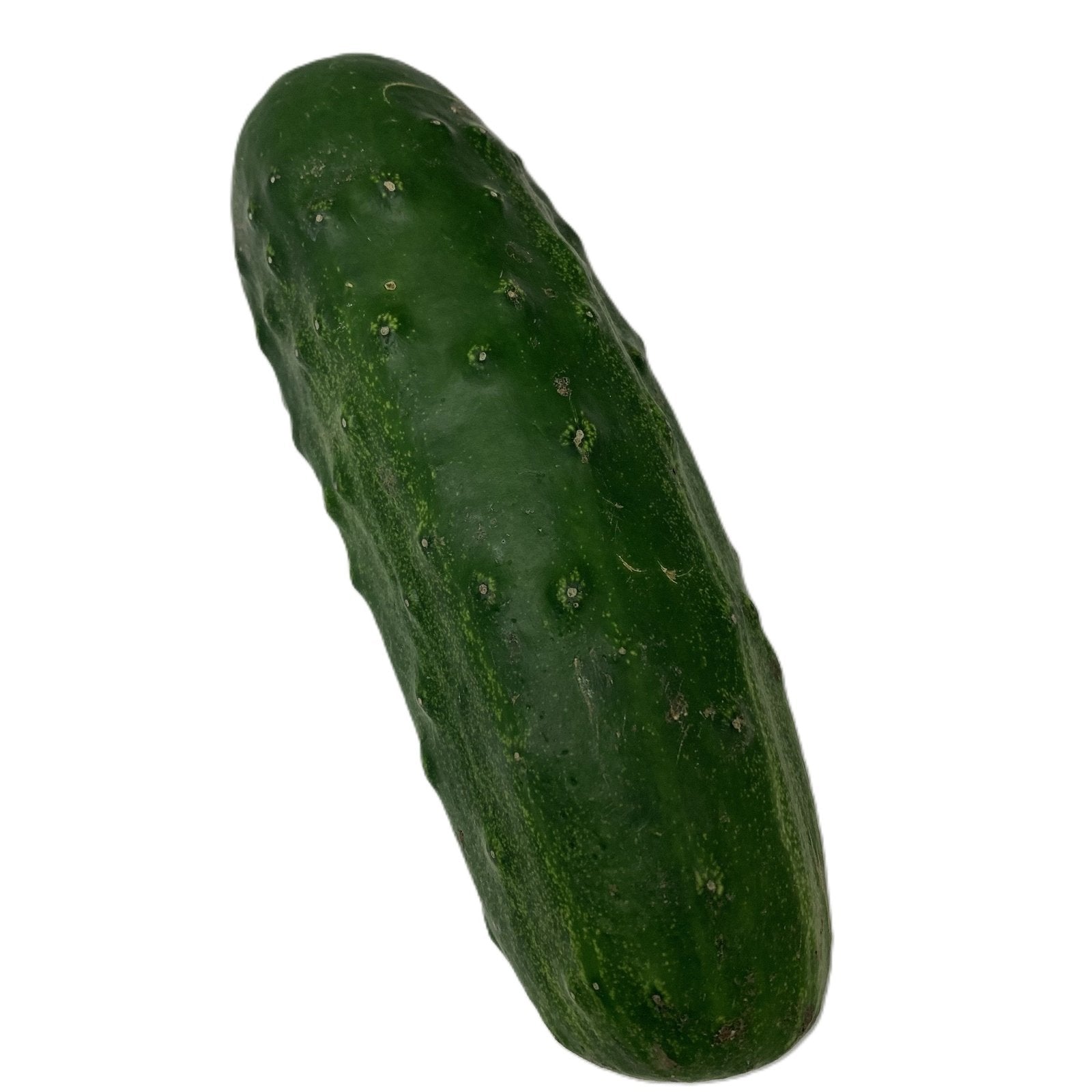 Field Cucumbers - Gerber Farms - AgriTech North