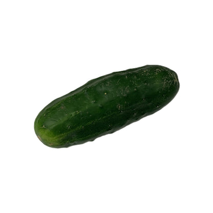 Field Cucumbers - Gerber Farms - AgriTech North